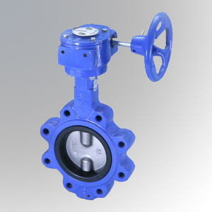 Lug Type Butterfly Valve